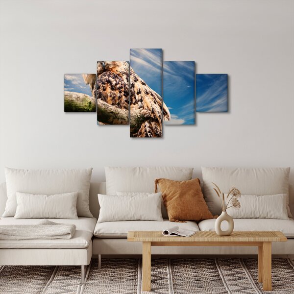 Obraz - Sowa (125x70 cm)
