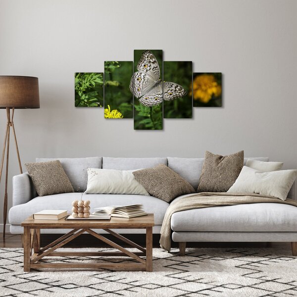 Obraz - biały motyl (125x70 cm)