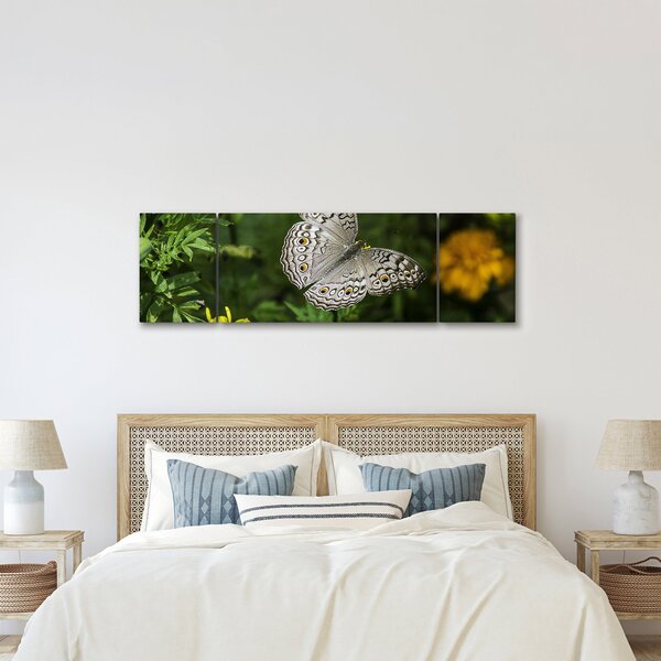 Obraz - biały motyl (170x50 cm)