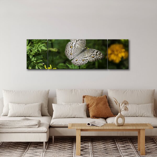 Obraz - biały motyl (170x50 cm)