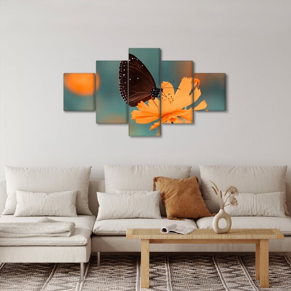 Obraz - motyl na pomarańczowym kwiatku (125x70 cm)