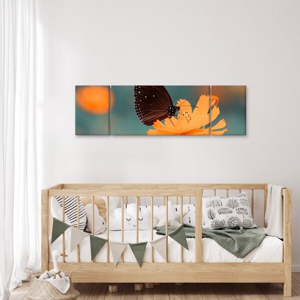 Obraz - motyl na pomarańczowym kwiatku (170x50 cm)
