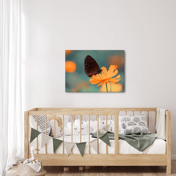 Obraz - motyl na pomarańczowym kwiatku (70x50 cm)