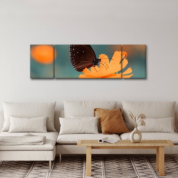 Obraz - motyl na pomarańczowym kwiatku (170x50 cm)