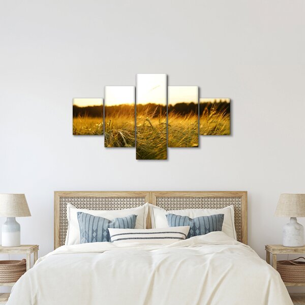 Obraz zroszonej trawy (125x70 cm)