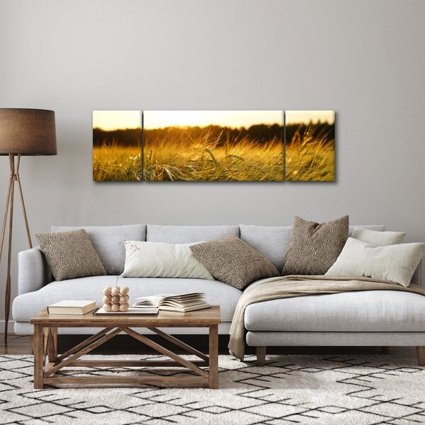 Obraz zroszonej trawy (170x50 cm)