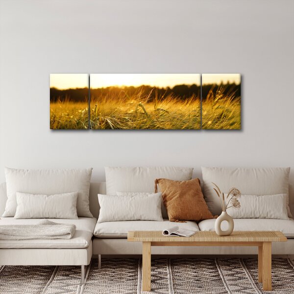 Obraz zroszonej trawy (170x50 cm)