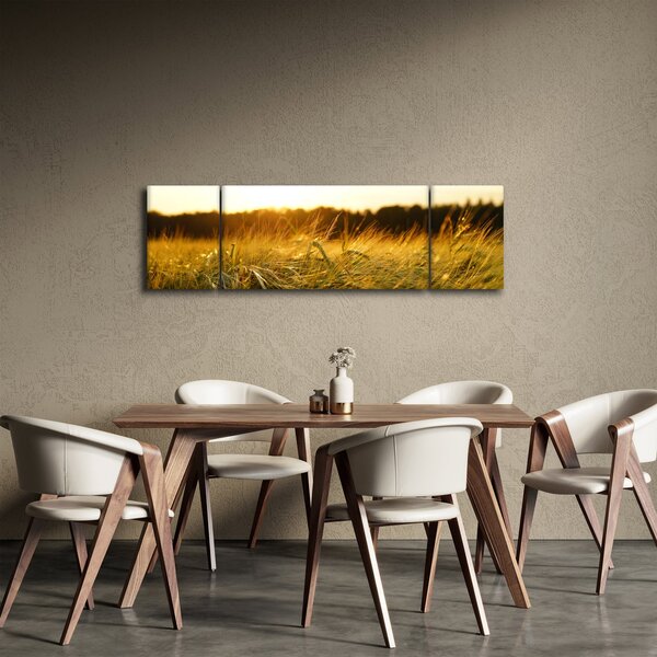 Obraz zroszonej trawy (170x50 cm)