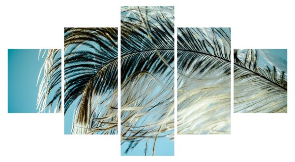 Obraz pióra (125x70 cm)