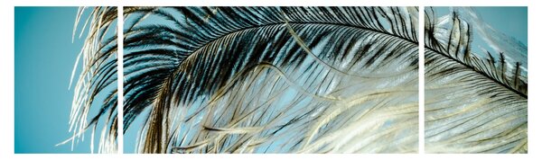 Obraz pióra (170x50 cm)