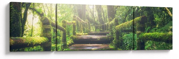 Obraz - drewniane schody w lesie (170x50 cm)