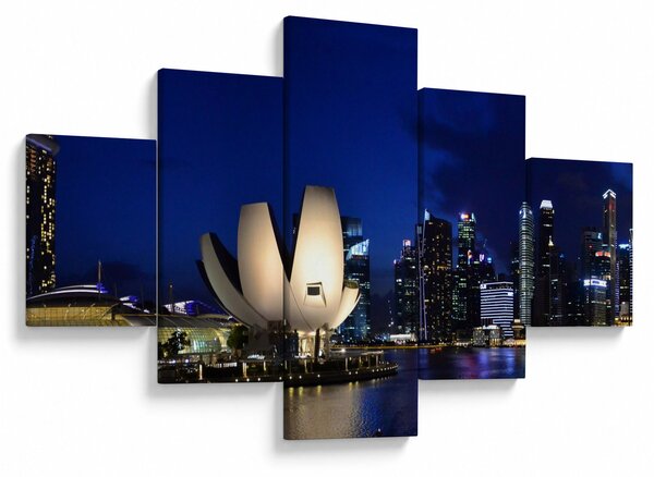 Obraz Singapuru nocą (125x70 cm)