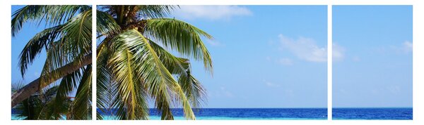 Obraz palmy na plaży (170x50 cm)