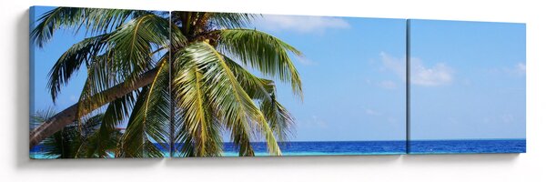 Obraz palmy na plaży (170x50 cm)