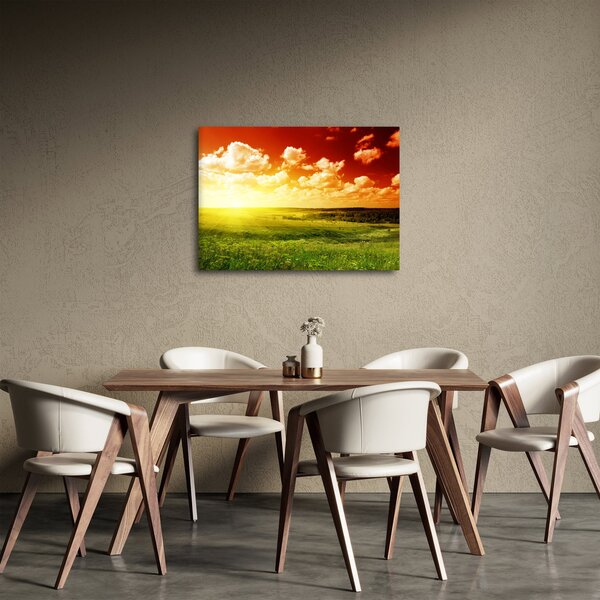 Obraz letniej łąki (70x50 cm)