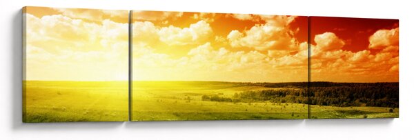 Obraz letniej łąki (170x50 cm)