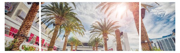 Obraz - palmy z basenem (170x50 cm)
