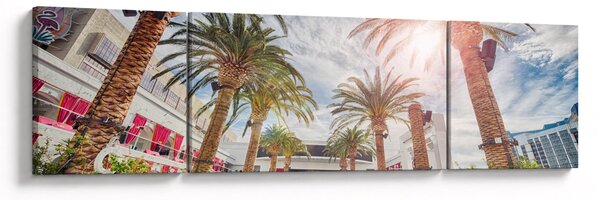 Obraz - palmy z basenem (170x50 cm)