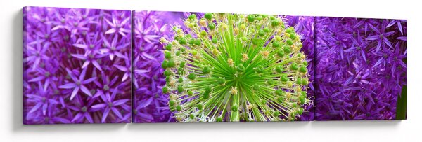 Obraz kwiatu (170x50 cm)