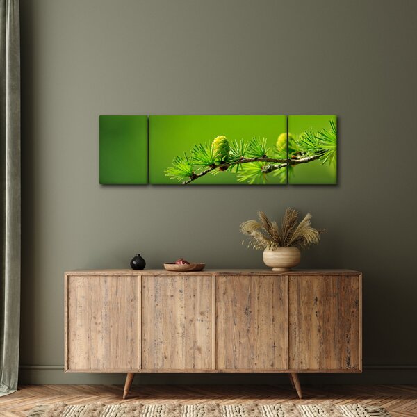 Obraz zielonej szyszki (170x50 cm)