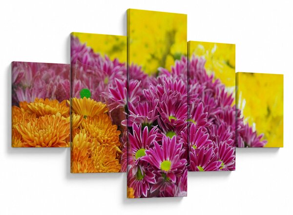 Obraz różowego kwiatu (125x70 cm)
