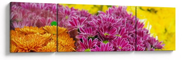 Obraz różowego kwiatu (170x50 cm)