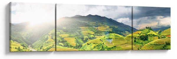 Obraz plantacji (170x50 cm)