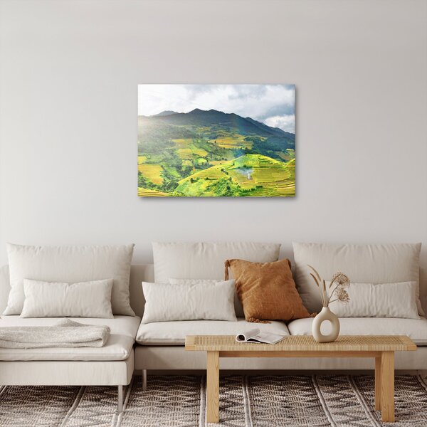 Obraz plantacji (70x50 cm)
