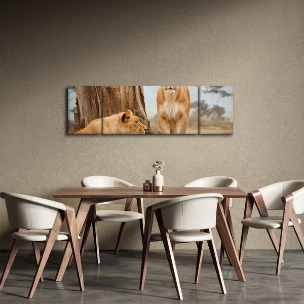 Obraz - dwie lwice (170x50 cm)