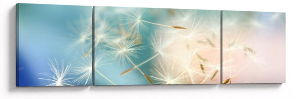 Obraz - szczęścia (170x50 cm)