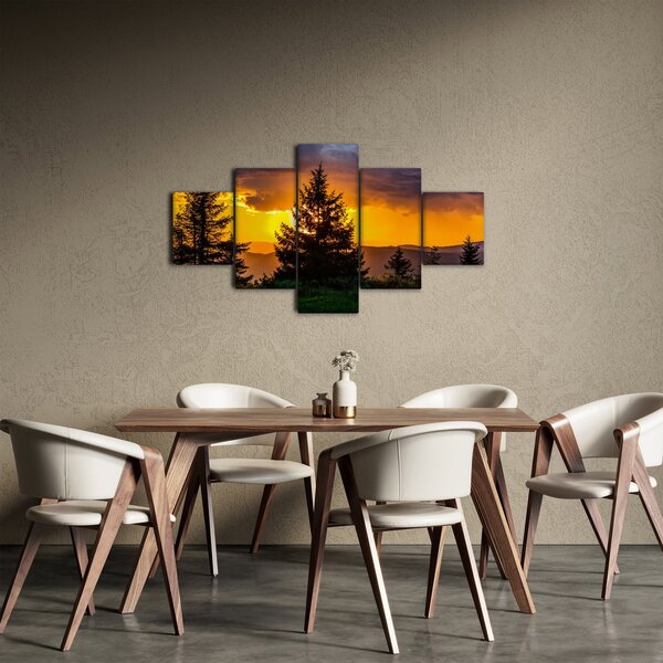 Obraz - drzewa iglaste (125x70 cm)