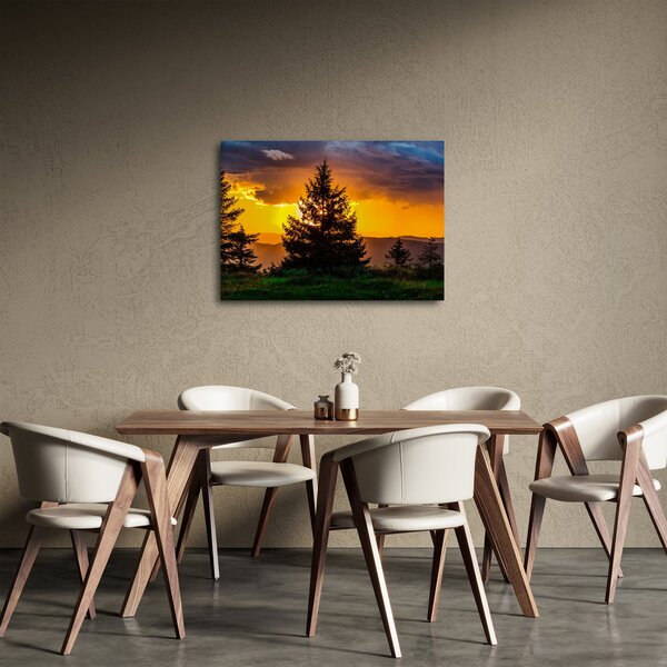 Obraz - drzewa iglaste (70x50 cm)