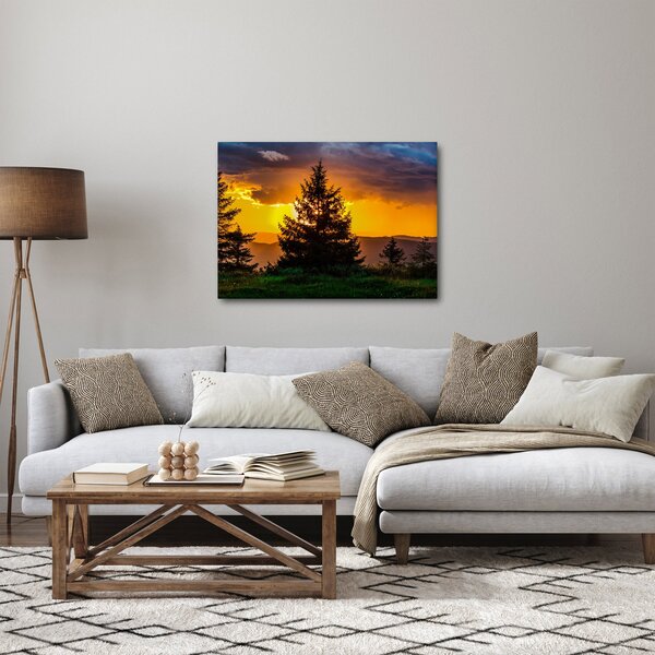 Obraz - drzewa iglaste (70x50 cm)