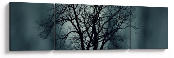 Obraz drzewa podczas zaćmienia (170x50 cm)