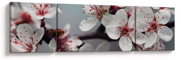 Obraz kwiatu - czerwony (170x50 cm)