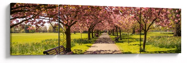 Obraz - sad czereśniowy (170x50 cm)