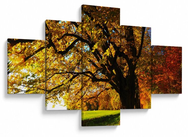Obraz jesieni (125x70 cm)