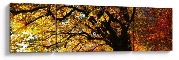 Obraz jesieni (170x50 cm)