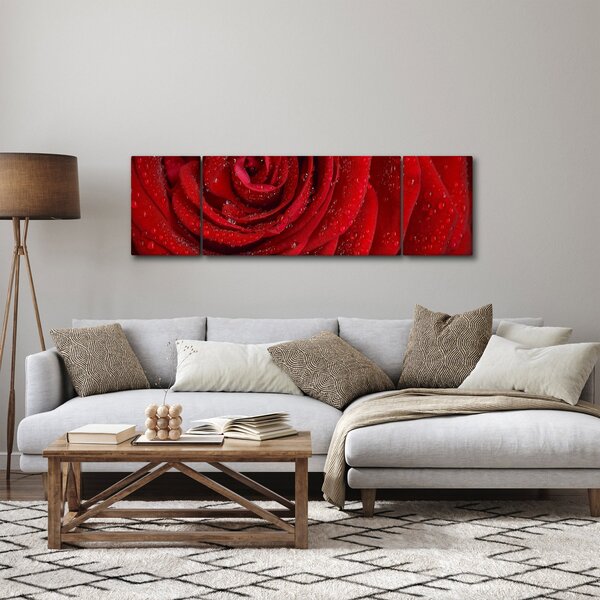 Obraz - szczegół róży (170x50 cm)