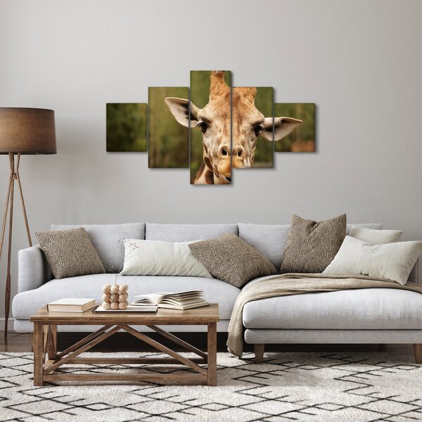 Obraz żyrafy (125x70 cm)
