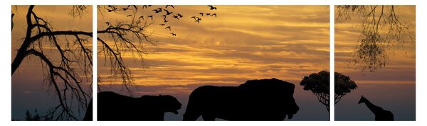 Obraz Safari (170x50 cm)