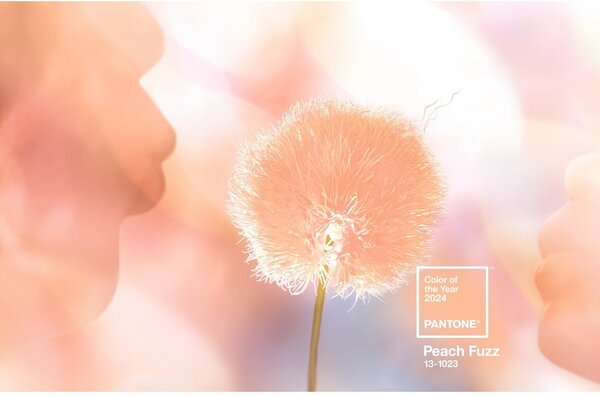 Pomarańczowy ceramiczny kubek 375 ml Peach Fuzz 13-1023 – Pantone