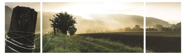 Obraz łąki (170x50 cm)