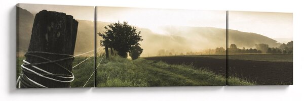 Obraz łąki (170x50 cm)