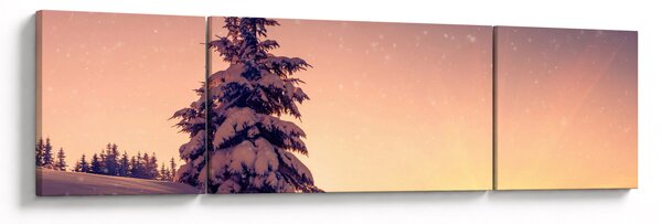 Obraz ośnieżonego drzewa na łące (170x50 cm)