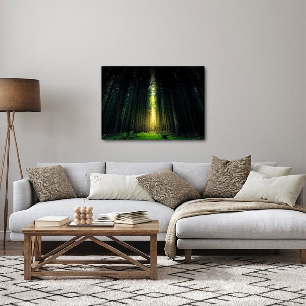 Obraz ciemnego lasu (70x50 cm)
