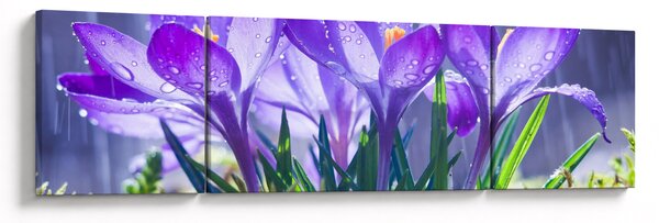 Obraz kwiatów w deszczu (170x50 cm)