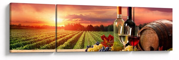Obraz winnicy z winem (170x50 cm)