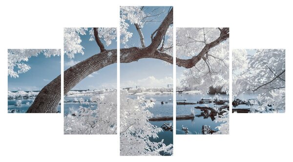Obraz ośnieżonego drzewa nad wodą (125x70 cm)