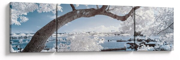Obraz ośnieżonego drzewa nad wodą (170x50 cm)